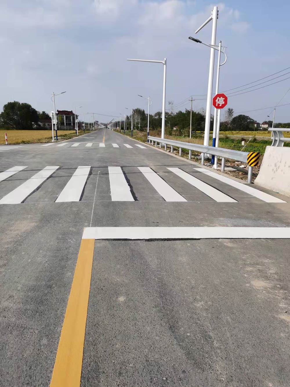 都天庙路道路工程设计施工总承包项目DTML-EPC标段